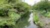 「船橋の起源海老川に架かる「海老川十三橋」を巡ろう！」