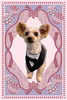 「Dog salon mofu mofu　余市町」