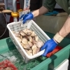 「立ち食い活貝が大好評！！　千葉で海鮮なら活き活き屋八千代店！！」