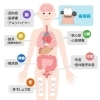 歯周病からも考えられる疾病・疾患「「歯」は身体に何か影響を及ぼすのでしょうか…？今日は「歯周病と健康」についてお話します。」