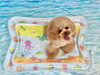 綺羅くん「波とわんこ🌊」