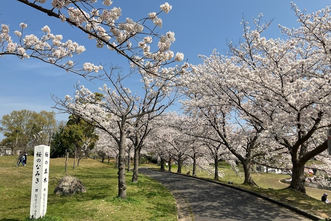 松江北公園　松江市学園