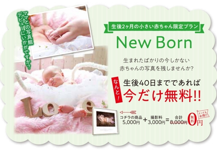 「♪～New Born photo～♬」
