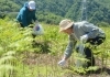 「【サンデーいわふね】5月17日号の主な内容は…」