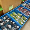 「道の駅木曽福島『信州産ぶどう』入荷します！」