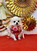 ロミちゃん「Happy New Year」