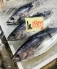 「西海物産館・魚魚市場鮮魚コーナーおすすめ商品は「フエフキダイ・コウクロダイ・本カツオ」入荷してます！」