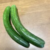 隣の畑で採れたです「元気になる、初夏のお野菜！」