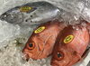 「魚魚市場鮮魚コーナーおすすめは「エゾバフンウニ 」です♪」