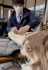かっちゃんもおすすめ🐶💓「本日はgraceさん超最新作のご紹介😍✨　」