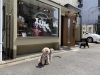 エマ店長とパシャリ♡「愛犬のカイカイなどをお悩みのお客様」