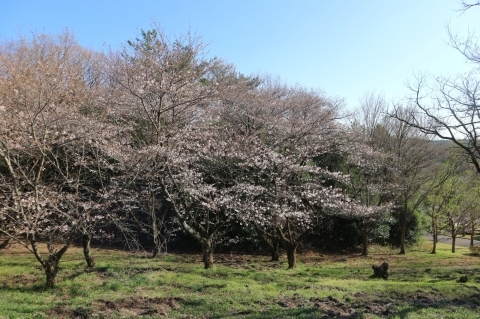 愛・地球博記念公園