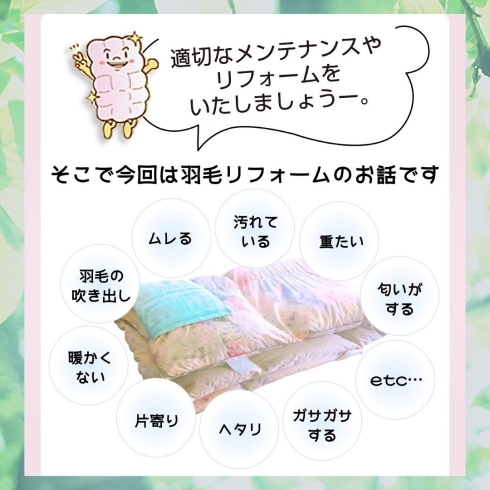 「皆様こんばんは！【岩手県で布団・枕を購入するなら、やよいリビング】」