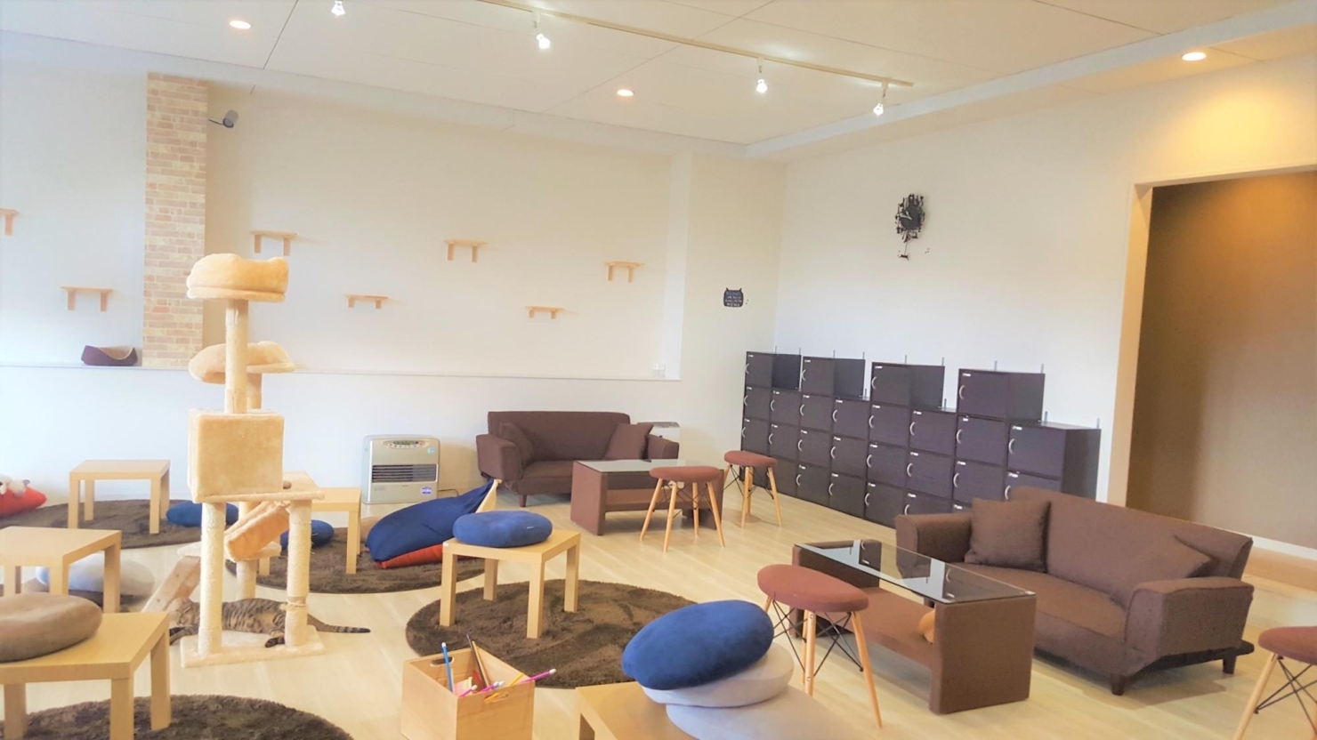 カワイイにゃんこに癒される ねこカフェ New Journey ニュージャーニー まいぶれ春日井市 おすすめショップ まいぷれ 春日井市 カワイイにゃんこに癒される ねこカフェ New Journey ニュージャーニー まいぶれ春日井市 おすすめショップ まいぷれ 春日井市