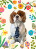 「Dog salon mofu mofu　余市町」