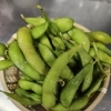 えだまめ