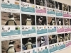 ペンギン図鑑  ペンギンは短足じゃない図鑑（さかざきちはる）』 販売ページ
