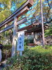 こちらはいつも長蛇の列「初詣2026年1月4日(日)」