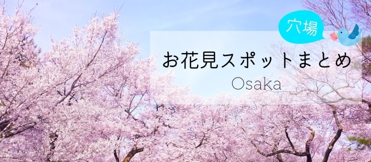 大阪 穴場のお花見スポットまとめ 大阪 桜の開花情報 まいぷれ 大阪市中央区