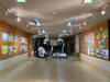 ／アジアゾウの全身骨格も常設展示中「動物画コンクール入賞作品展」