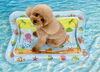 モカちゃん「波とわんこ🌊」