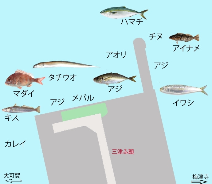 愛媛県中予地域 海 川 おすすめ 釣り場情報の紹介 アウトドアを楽しもう まいぷれ 松山 伊予 東温 松前 砥部 愛媛県中予地域 海 川 おすすめ 釣り場情報の紹介 アウトドアを楽しもう まいぷれ 松山 伊予 東温 松前 砥部