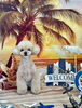 嵐ちゃん「サンセットビーチ🏖️&サロン予約状況&ホテル予約について」