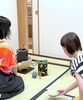 水指の蓋の代わりに「梶の葉」を乗せます「【東京で人気のカルチャースクール】エコールプチピエ銀座　真夏の茶道のお稽古《葉蓋（はぶた）の点前》」
