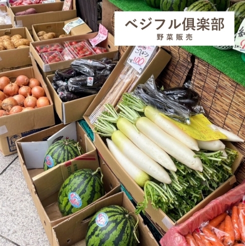 ベジフル俱楽部「秋の感謝祭 出店者紹介! vol.4」