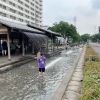 ■水遊び■【曳舟川親水公園-葛飾区亀有・白鳥・四つ木‐】水をテーマとして整備された公園