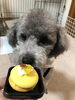 「HAPPY　BIRTH　DAY」