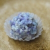 匠の和菓子６月編