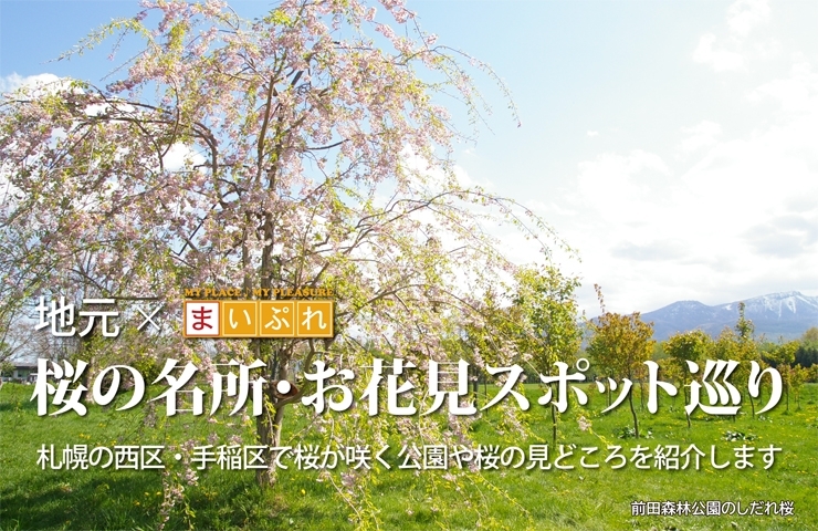 札幌で楽しむ桜名所 お花見スポット巡り まいぷれ 札幌市西区 札幌で楽しむ桜名所 お花見スポット巡り まいぷれ 札幌市西区