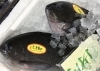 「魚魚市場鮮魚コーナーおすすめは「ギンガメアジ」です♪」