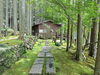 「【西予市:宇和町】苔筵（こけむしろ）へ行ってきました！」