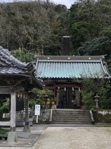 お疲れの時はオススメしません「占い師と行く神社巡り  」