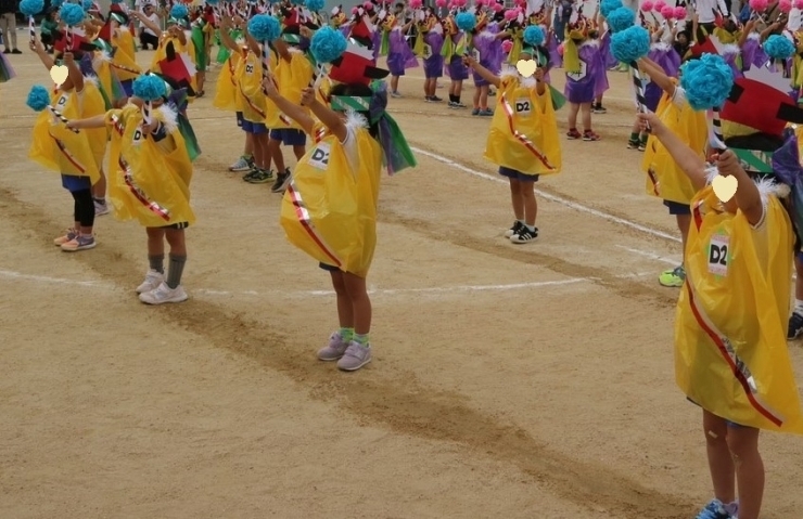 獅子舞の曲に合わせて上手に踊る年中組「2023年の運動会」