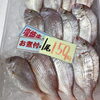 「魚魚市場鮮魚コーナーおすすめは「シマアジ・地タコ」です♪」