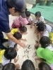 「八女市で保育園をお探しの保護者様へ　👨園長先生の生き物触れ合い体験🐟」