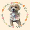 「Dog salon mofu mofu　余市町」
