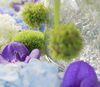 ぶら下がっているのは苔玉。その下のはテマリソウ。「第六回花手水がはじまりました。」