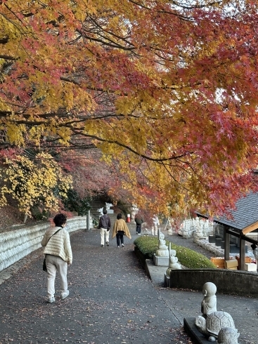 もみじ寺　永源寺の坂　紅葉がとても綺麗でした「袋田の滝　西船橋駅北口　アンティークDEN」
