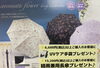プレゼント🎁「４月のお知らせ❗️」