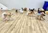 みんなで追いかけっこ中〜💨「ましゅまろ幼稚園🐾」