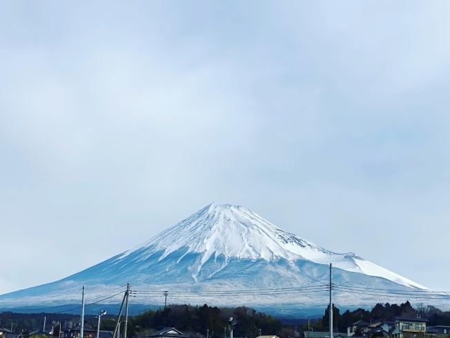 「白富士とパッケージ印刷【静岡県で烏骨鶏の卵なら悠々ファームへ】」