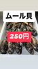 「おはよう御座います」
