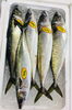 「魚魚市場鮮魚コーナーおすすめは「金目鯛・ヤリイカ」です♪」