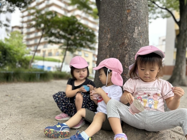 「秋のお散歩、はじまりました🍂」