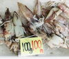 「魚魚市場鮮魚コーナーおすすめは、「バーベキュー3点セット」です♪」