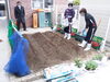 「菜園に野菜が！」